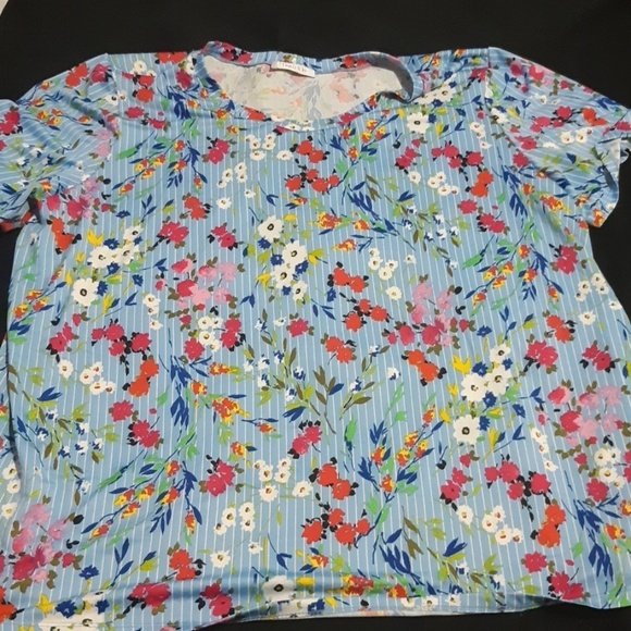 Theo & B  T Shirt. - Picture 1 of 3
